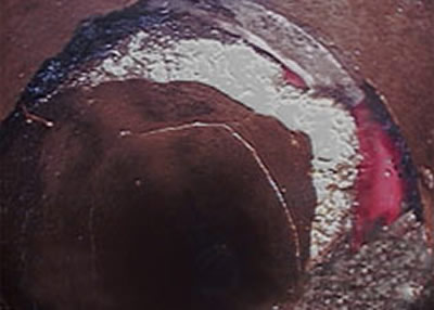 sanitation-img